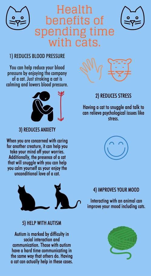 #MentalHealthWeek2019 Pets can really help with #mentalhealth . I know cats will claim credit for lots of things but it’s almost impossible not to feel happier when they actually let you spend some time with them!