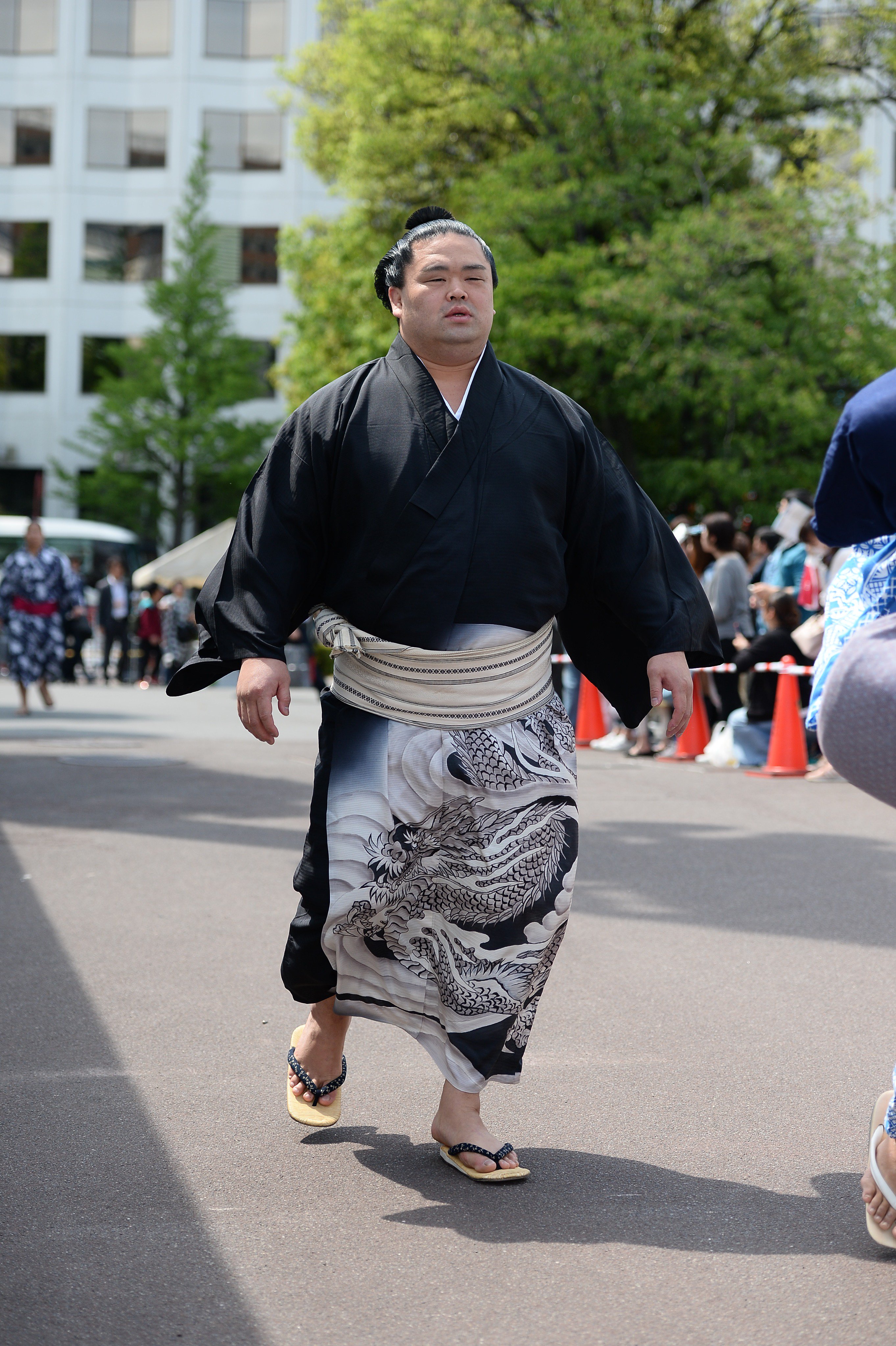 妙義龍 相撲 浴衣 反物 生地 粗布 かもす