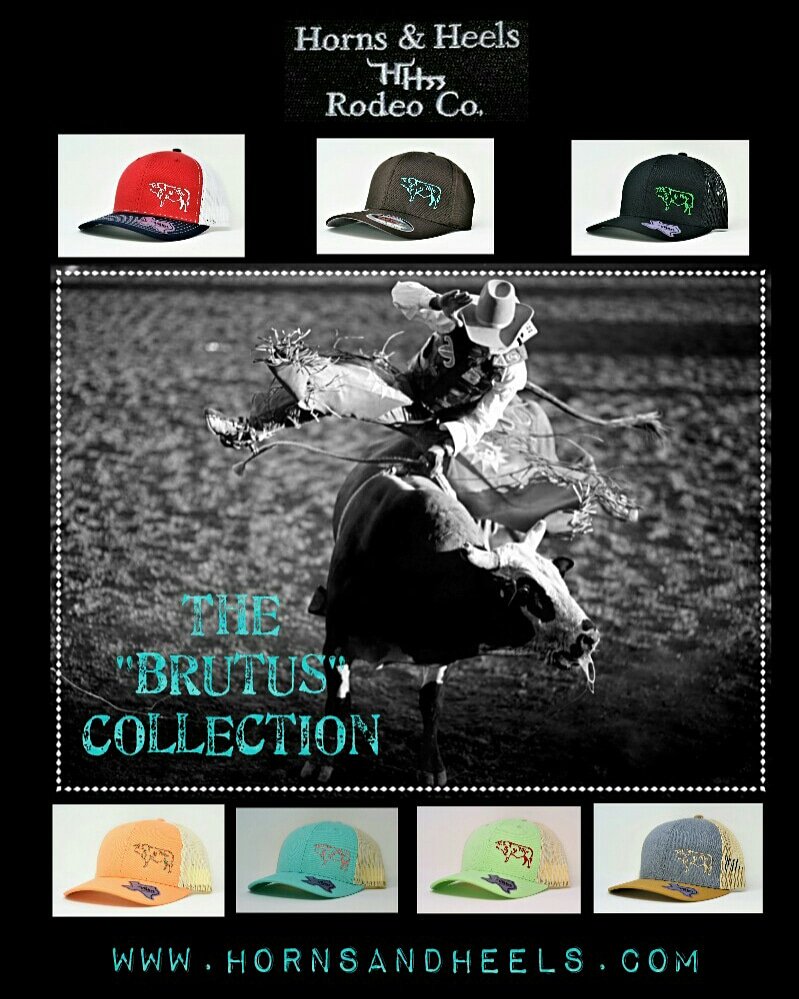 Check out our Brutus Collection of hats! ☆HORNSANDHEELS.COM ☆ #madeintexas #madeinamerica #rodeo #roping #teamroping #breakawayroping #barrelracing #hooey #steerwrestling #calfroping #ranchlife #bullriding #polebending #farmlife #steerwrestling #dalley #ustra #wpra #hhrc