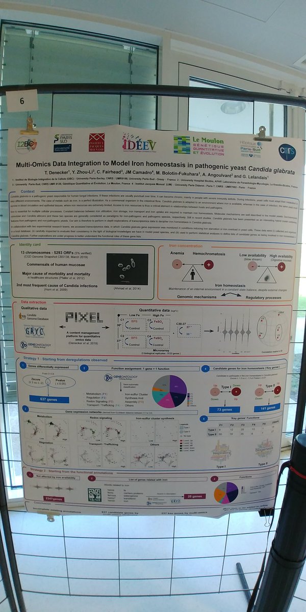 DeneckerThomas's tweet photo. Mon poster est en place à la journée #GenomeBiologyDepartment  !  😃  Je suis impatient d'en discuter avec vous ! #poster6 https://t.co/TBr78wDP7x