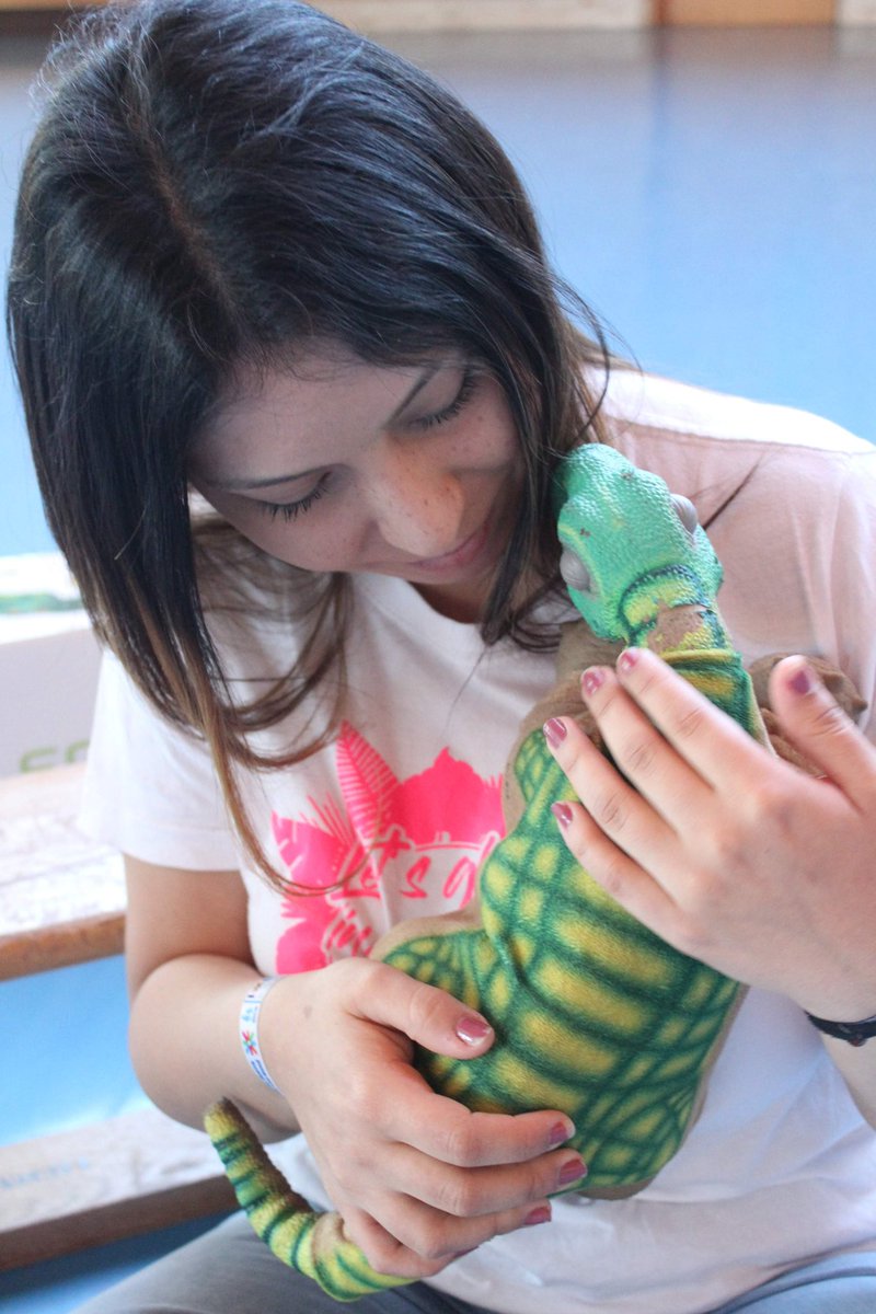 TICE_UCLM's tweet photo. En #AEDAUCLM #TICEUCLM aprendemos con emoción #pleorb #beebot #dino #dina https://t.co/v6Td33gIrb