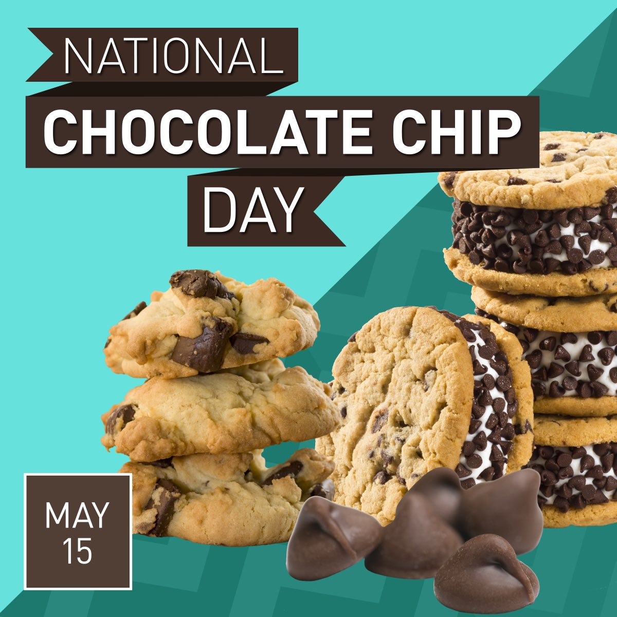 National Chocolate Chip Day! 🍫🍪