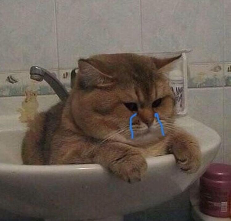 ˳ 🎠˟ 𝐉𝐀𝐒𝐌𝐈𝐍𝐄 ̟ ♡ ◝close tweet media