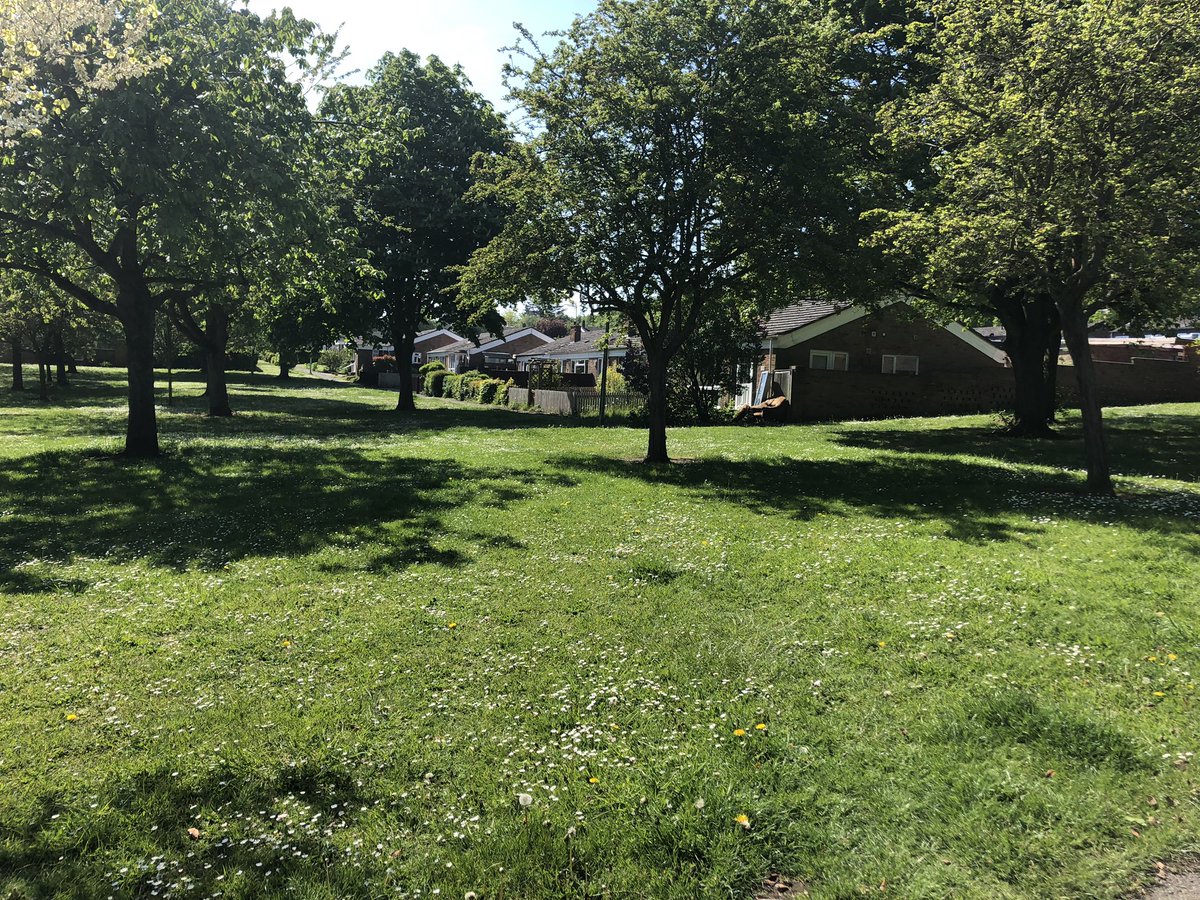 Great morning out with <a href="/GreenerG/">Greener Growth CIC</a> on the Horringer Court estate working on our projects to enhance biodiversity in the area🌳🌷🦔🐝🦇🐦🦉