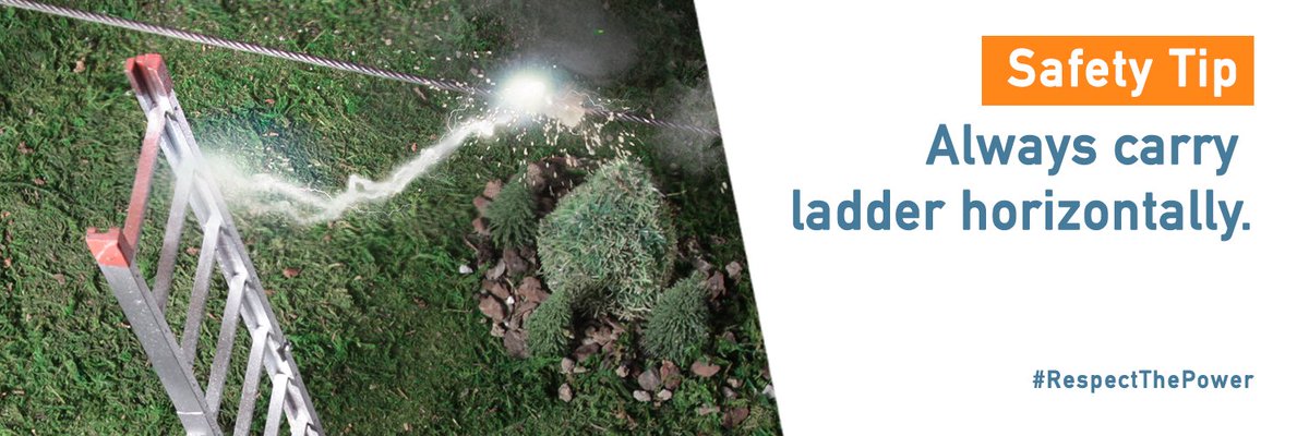 ElexiconEnergy's tweet image. There may be a hidden, deadly hazard located in the trees near your home: powerlines. Contact an arborist and consult with @homeandsafety's tips to ensure you #RespectThePower and have your trees safely trimmed: bit.ly/2Ynt5st