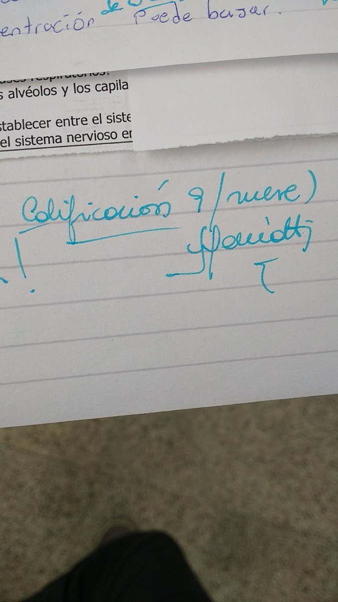 MauroArtaza4's tweet image. RT para aprobar sin estudiar