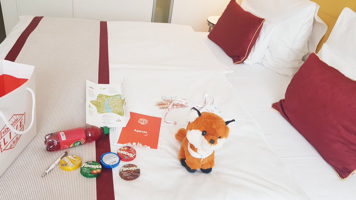 Iulia Baciu tweet media