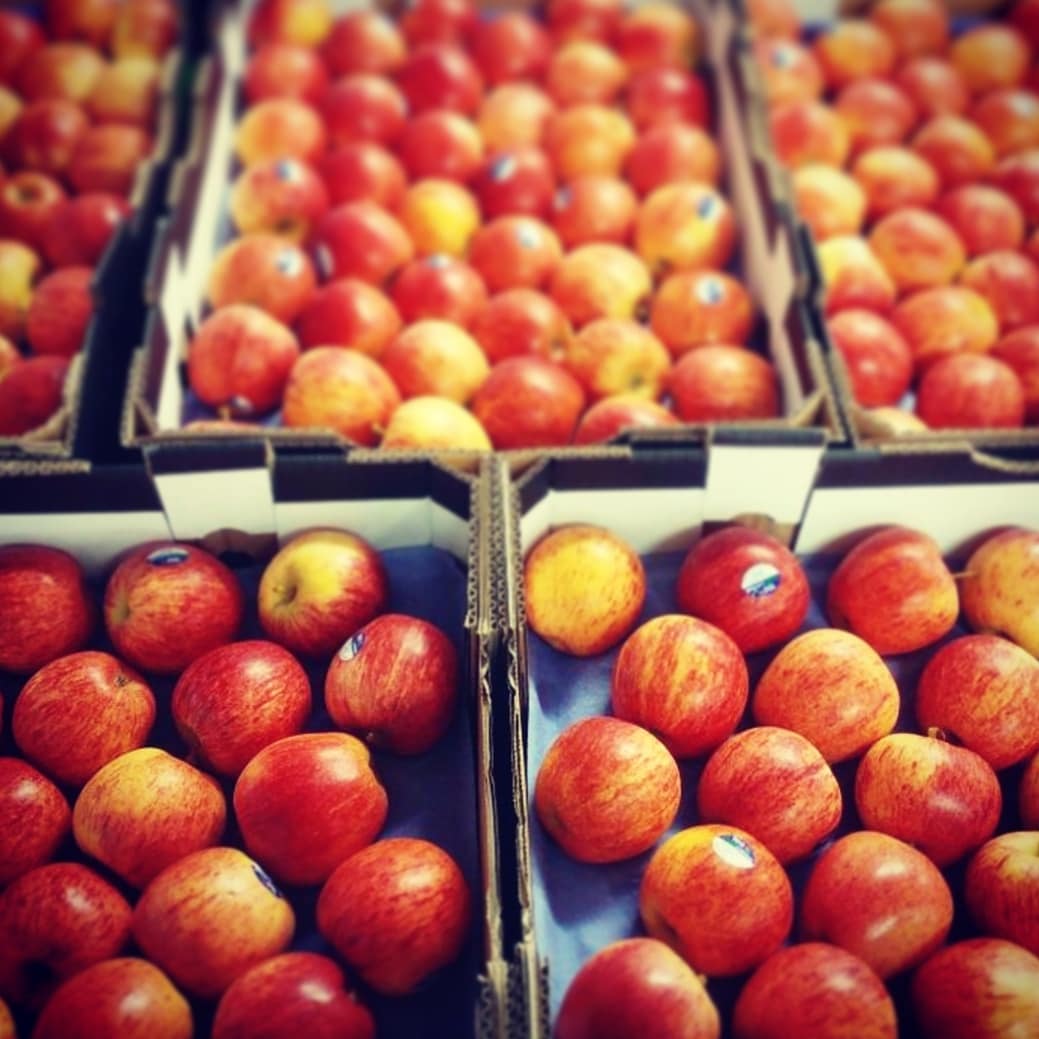 Fruit Vision tweet media