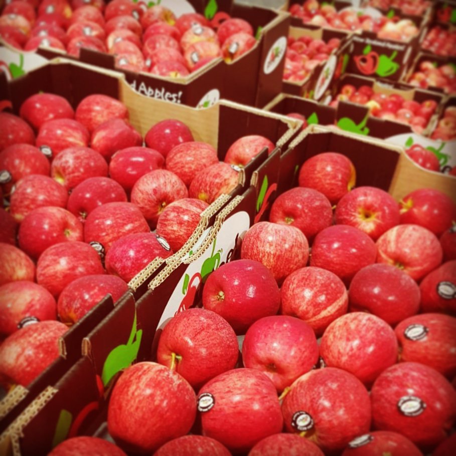 Fruit Vision tweet media