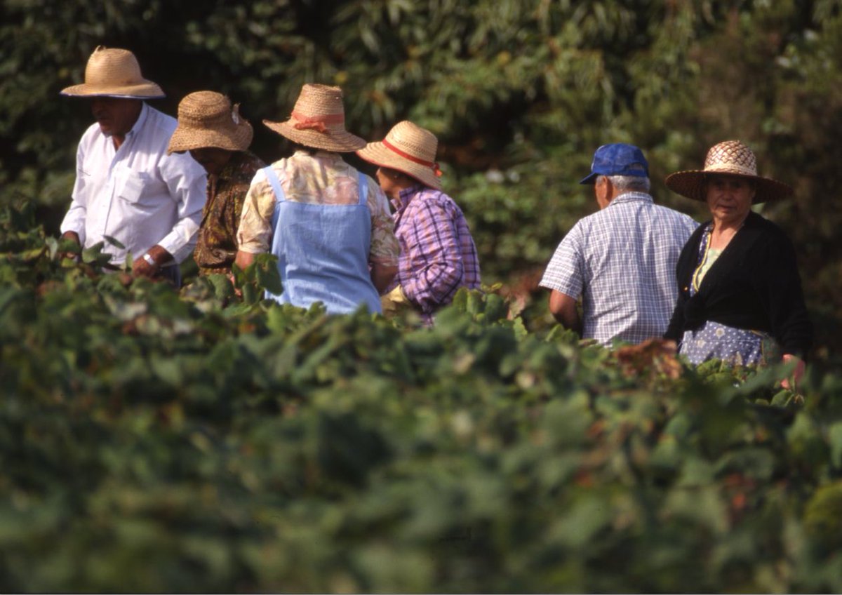 Feliz día de San Isidro!!