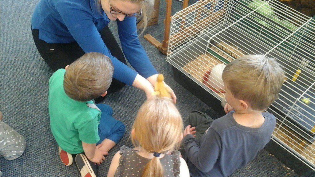 Bright Horizons Fair oak tweet media