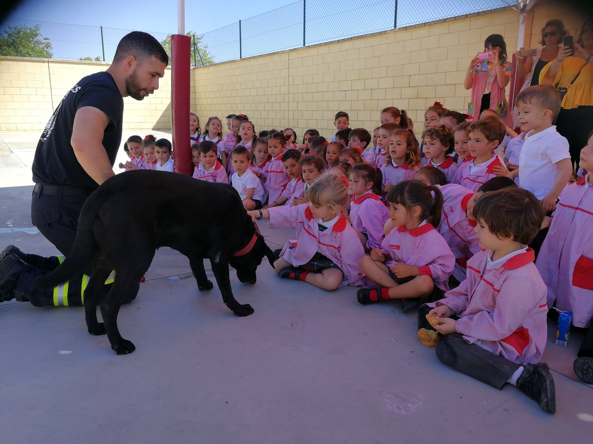 HispanidadLa's tweet photo. Los bomberos han estado en el Colegio explicando a los chavales cómo trabajan y cuál es la labor de sus compañeros caninos. Todos han subido al camión y han vivido de cerca dónde se desplazan estos valientes. https://t.co/ZJYlvDGyZD