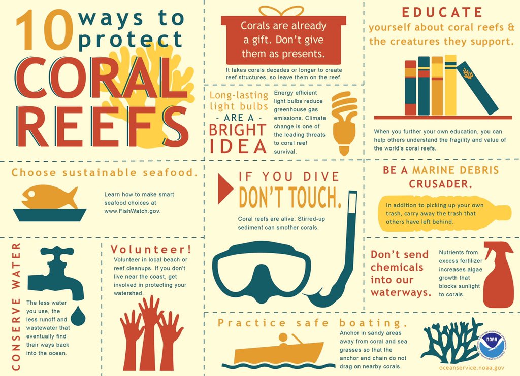 CoralReef48's tweet photo. Here are some ways you can help protect our coral reefs. Even if you don’t live near reefs, you can create an impact on them. @jmglbrt #coralreefs #saveourreefs #saveoutplanet #oceanpreservation #saveourocean #ocean #greatbarrierreef https://t.co/o9iKEfKq0O