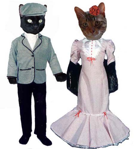 Feliz día de San Isidro a los gatos , las gatas y a todos los madrileños en general 🎉🎉🎉