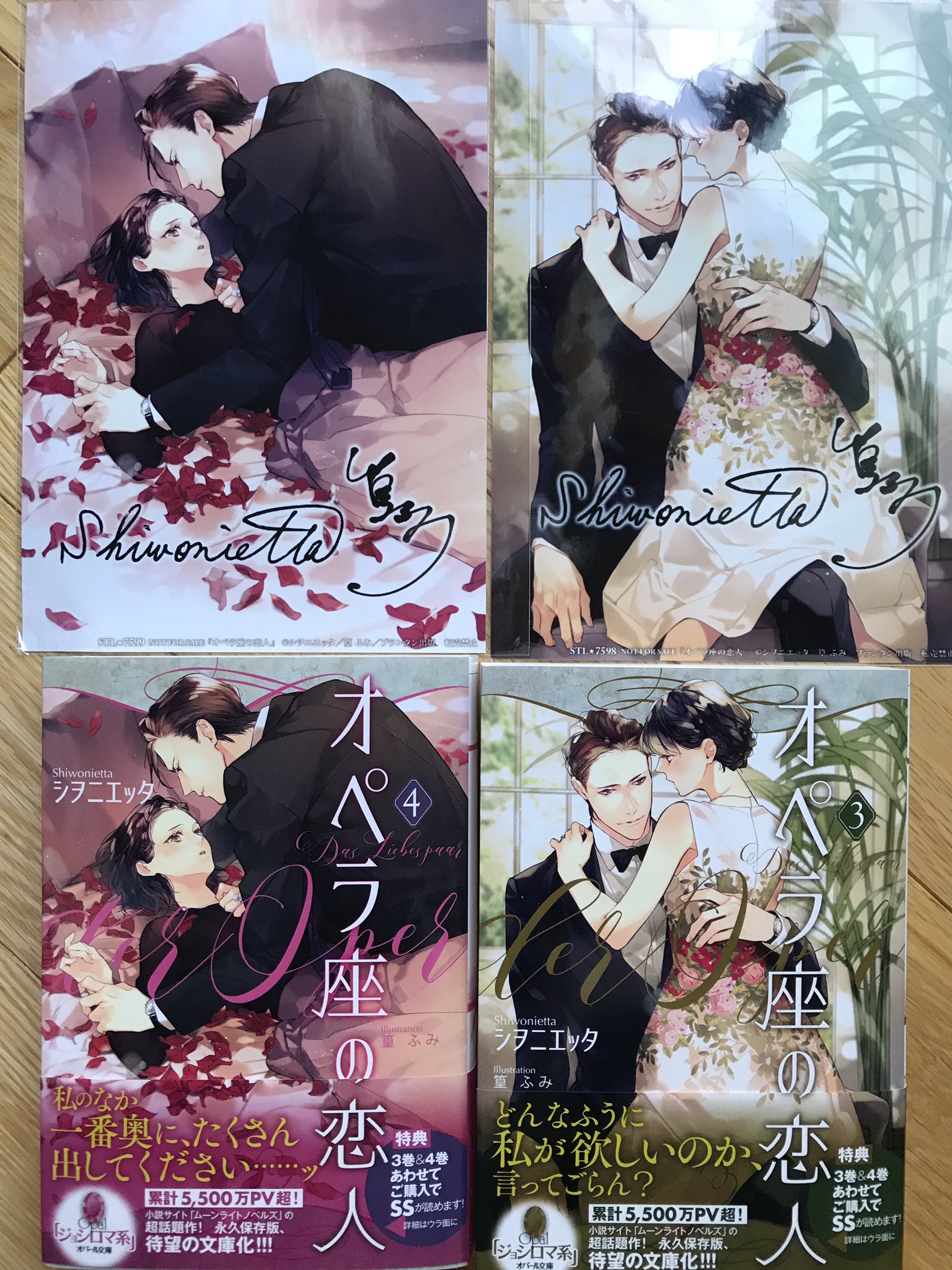 オペラ座の恋人 PREMIUM BOX 非売品購入特典小冊子番外編 セット