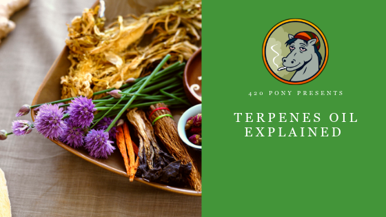 420PonyReviews's tweet photo. See the latest post, Terpenes Oil Explained - https://t.co/mcqwlxuZTh https://t.co/3VNeF1I9kn