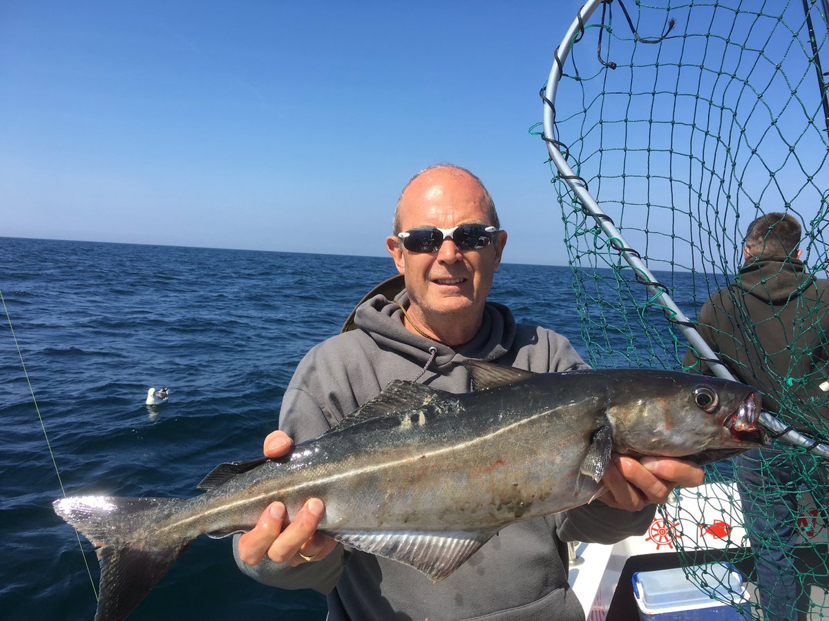 Cod, Pollock and Coalfish caught over the weekend aboard OUR JOE-L out of #PaigntonHarbour. #PaigntonBoat #CharterBoat #FishingHolidays #WreckFishing