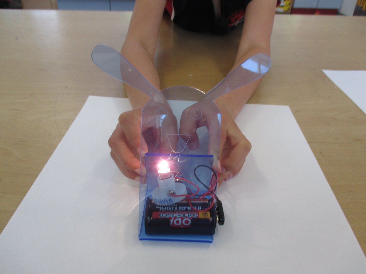 DurlstonSTEM's tweet image. Pet lights, designed and made by Year 4. #techsoft #CAD #durlstonstem #year4