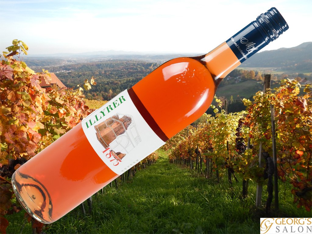 GeorgsSalon's tweet photo. Der #Illyrer 1875! Einer der außergewöhnlichsten #Weine der Welt! Ein herb fruchtiger Wein mit höchster feiner #Weinsäure. Ein Ur-#Schilcher nach den Gebrüder #Goethe Mehr zu lesen auf https://t.co/1zTR9z7lwy #weinblogger #wine #rose #wein #weststeiermark #oesterreich #winelover https://t.co/nfxk4W8bv3