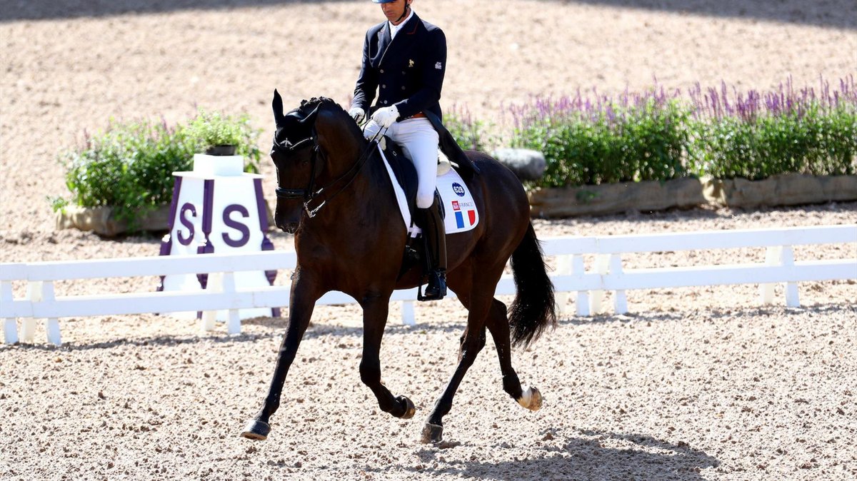 FRA_Equitation's tweet photo. Cette semaine, Compiègne accueille son traditionnel CDIO 5*. 7 nations seront représentées dans la Coupe des nations FEI de dressage du @CDI_Compiegne, dont la France 🇫🇷 ! Allez les bleus ! 
➡️ https://t.co/GTWd1huyDq via @Eurosport_FR
#cheval #équitation #NationsCup #BeProud https://t.co/KE379jko9z