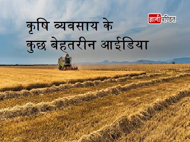 gyanipanditweb's tweet image. ये हैं कृषि व्यवसाय के कुछ बेहतरीन आईडिया-
gyanipandit.com/agriculture-bu…
#Jatrophafarming
#SoilTestingLab
#AgricultureBusiness 
#Ideas