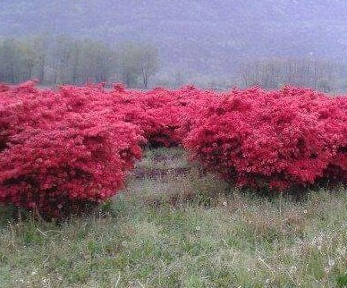 NaviGreen1's tweet photo. #landscape  🤗 https://t.co/AV0WoyR88L