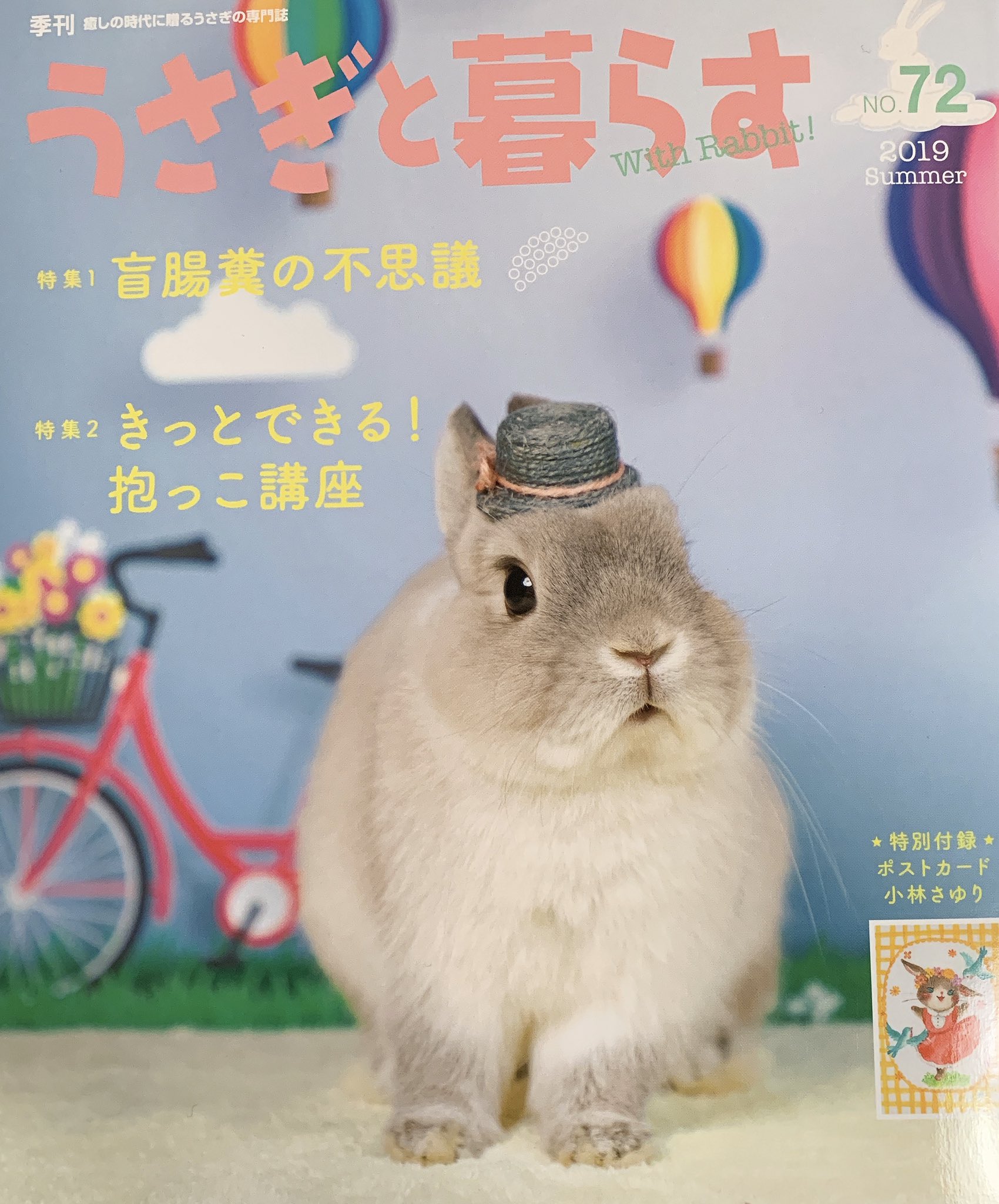 井口病院 対談を載せていただいてます うさぎと暮らす 夏号が5 17発売 盲腸糞特集もあるよ うさぎ のうんちは黒真珠 よろしくお願いします T Co U70uxiz046 Twitter