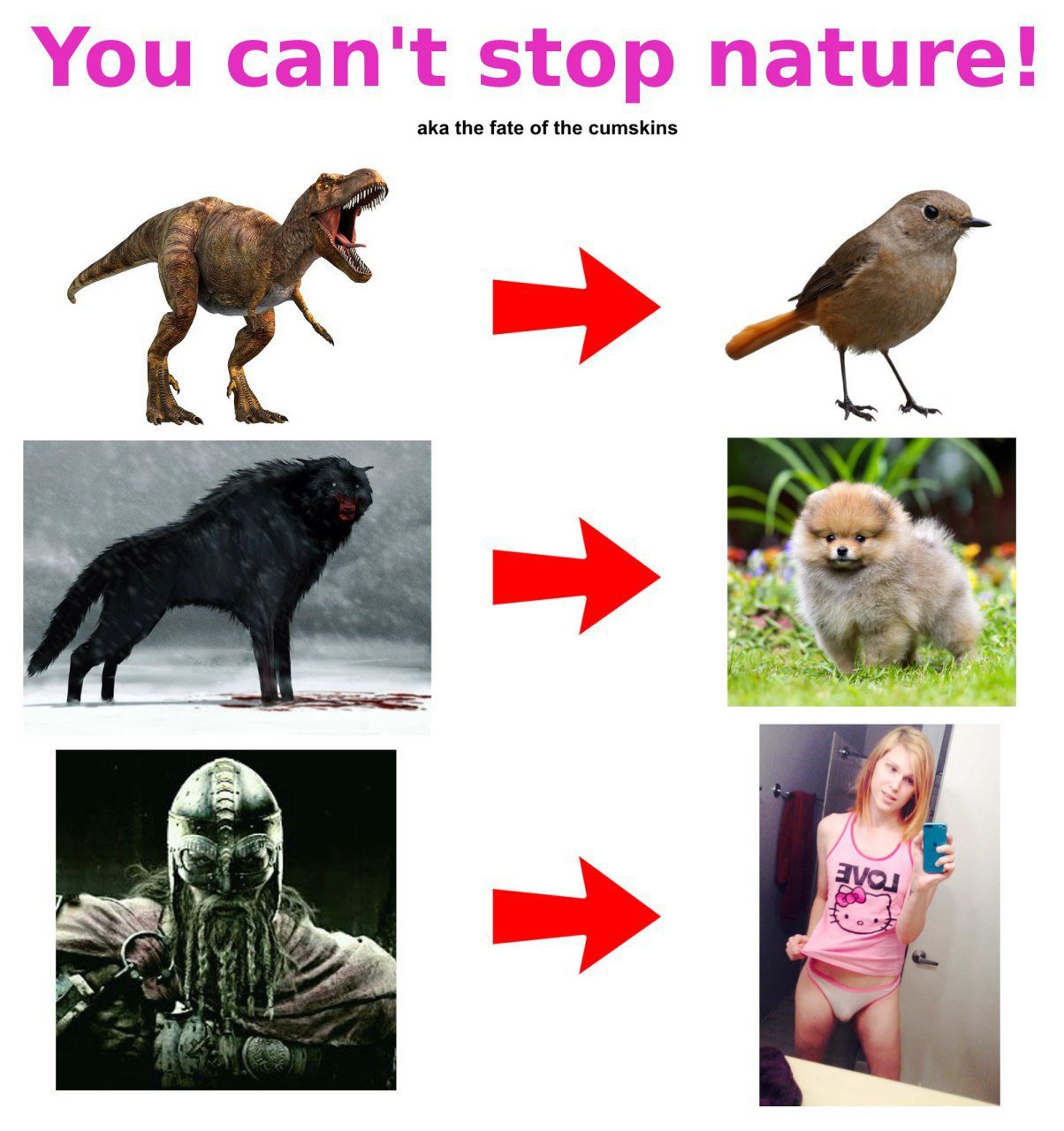 D6mJC3mWwAAcw4n?format=jpg&name=large