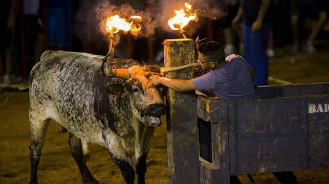 iescolar's tweet photo. Los festejos taurinos populares caen por primera vez en cinco años mientras las corridas de toros siguen hundiéndose.
¡Feliz San Isidro!

https://t.co/TrPw2If2Nj https://t.co/qSOfsUJ4B3