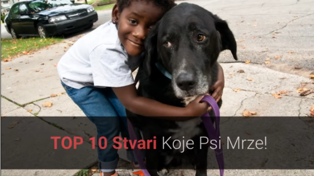 KucniLjubimciTV's tweet photo. 🐕 Što #Psi #Mrze? #Top 10 Stvari Koje #Ljudi Rade #Psima, A Psi Ih Mrze!
https://t.co/Px4c3ksU9Q
#ŠtoPsiMrze #psiMrze #PsiNeVole #Top10StvariKojeLjudiRadePsima #top10 #top5 #zanimljivo #pas #psiVole #dogLove #Love #dogs #PaziMaziVoli #cuteDogs #kućniLjubimci #KucniLjubimciTV https://t.co/yBOxAGqPex