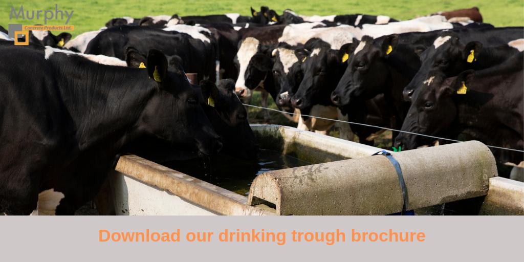 Due to the materials in our troughs, water stays cool and fresh for longer. To learn more, download our drinking trough brochure #precast #concrete bit.ly/2ZZloK9