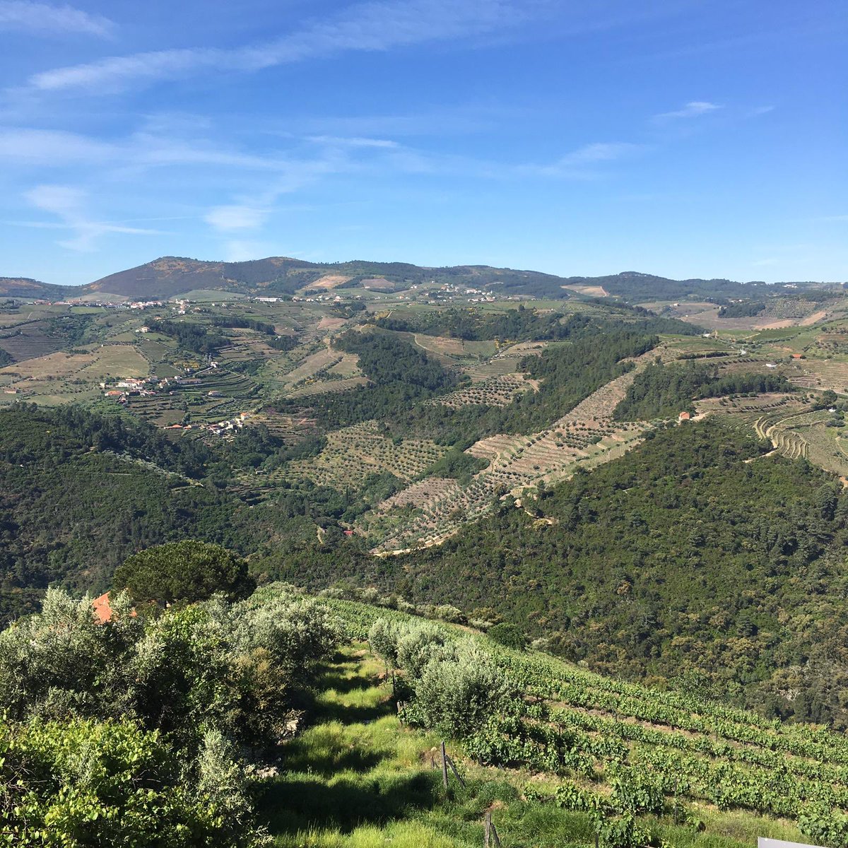 Wines Unearthed (@winesunearthed) on Twitter photo Good morning from the Douro Valley! 🙌🙌 <a href="/AnaSofia_Oliv/">Ana Sofia Oliveira</a> and <a href="/jk_marketing/">Judy Kendrick</a> from #winesunearthed are visiting the fantastic Quinta da Pedra Alta - who will be at Wines Unearthed next week! @londonwinefair Good morning from the Douro Valley! 🙌🙌 <a href="/AnaSofia_Oliv/">Ana Sofia Oliveira</a> and <a href="/jk_marketing/">Judy Kendrick</a> from #winesunearthed are visiting the fantastic Quinta da Pedra Alta - who will be at Wines Unearthed next week! @londonwinefair