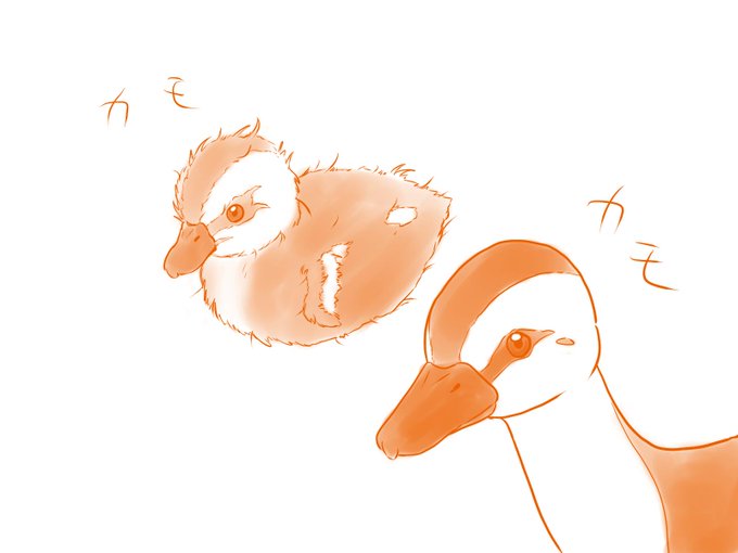 カルガモのtwitterイラスト検索結果 カルガモのtwitterイラスト検索結果