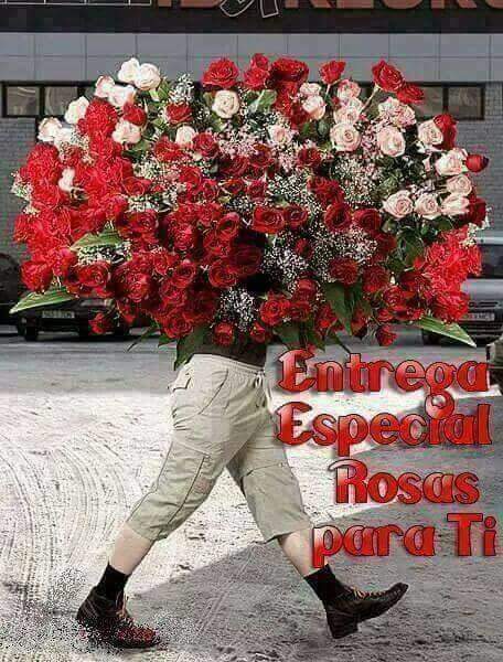 Patrici58275001's tweet photo. * Entrega #especialll ... * πΊπβ₯οΈ https://t.co/zP73T2so70