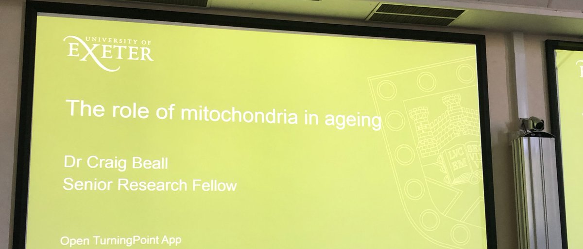 All ready for my #mitochondria in ageing lecture to year 1 BMBS students. Should hopefully be a fun interactive lecture w/ some of our v. recent research results included #researchledteaching #TurningPoint  #ExeterDiabetes #ExeterDementia