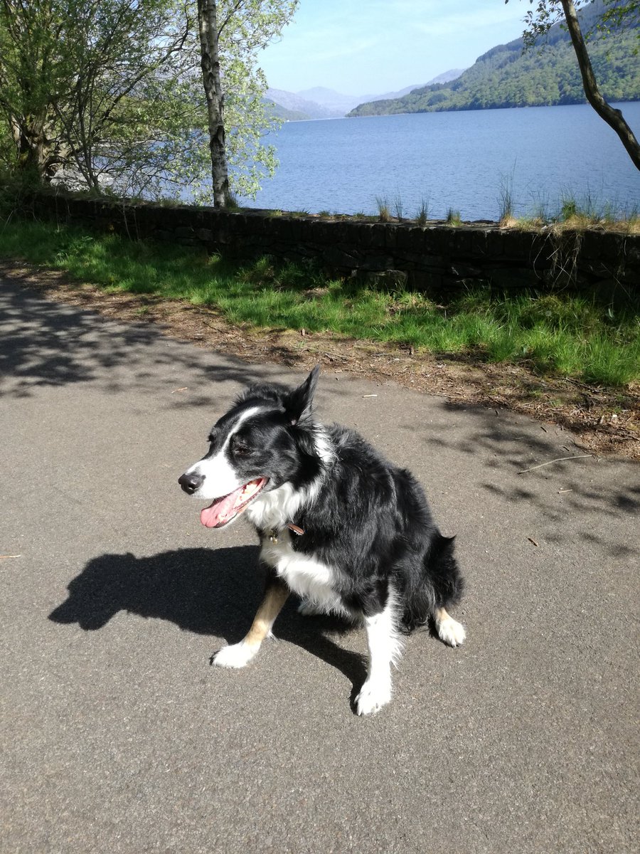 All good here today. Even Oscar agrees. 😎🌞
<a href="/CruiseLL/">CruiseLochLomond</a> 
<a href="/HighlandMidge/">The Highland Midge Lotion</a> 
<a href="/LinkedMagazines/">Linked Magazine</a> 
<a href="/Jaki_Graham/">Jaki Graham</a> 
<a href="/lovelochlomond/">Love Loch Lomond</a> 
<a href="/MaryJeanUK/">Mary Jean® Cruelty Free Beauty & Home Fragrance</a> 
<a href="/lomondtrossachs/">Loch Lomond & The Trossachs</a> 
@TarbertInfo 
<a href="/JudithRalston/">Judith@weather</a> 
#sunnyday
