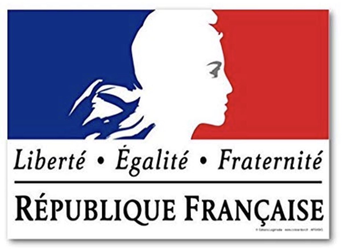 CMUSCHOTTI's tweet photo. Satisfaite de la décision de @Matignon qui a su nous entendre : l’Etat accorde 5 millions d’€ aux commerçants des villes touchées par les violences liées aux manifestations des gilets jaunes, @VilleDeToulon fait partie des dossiers retenus. #LREM #toulon https://t.co/OaoZE3TkD6