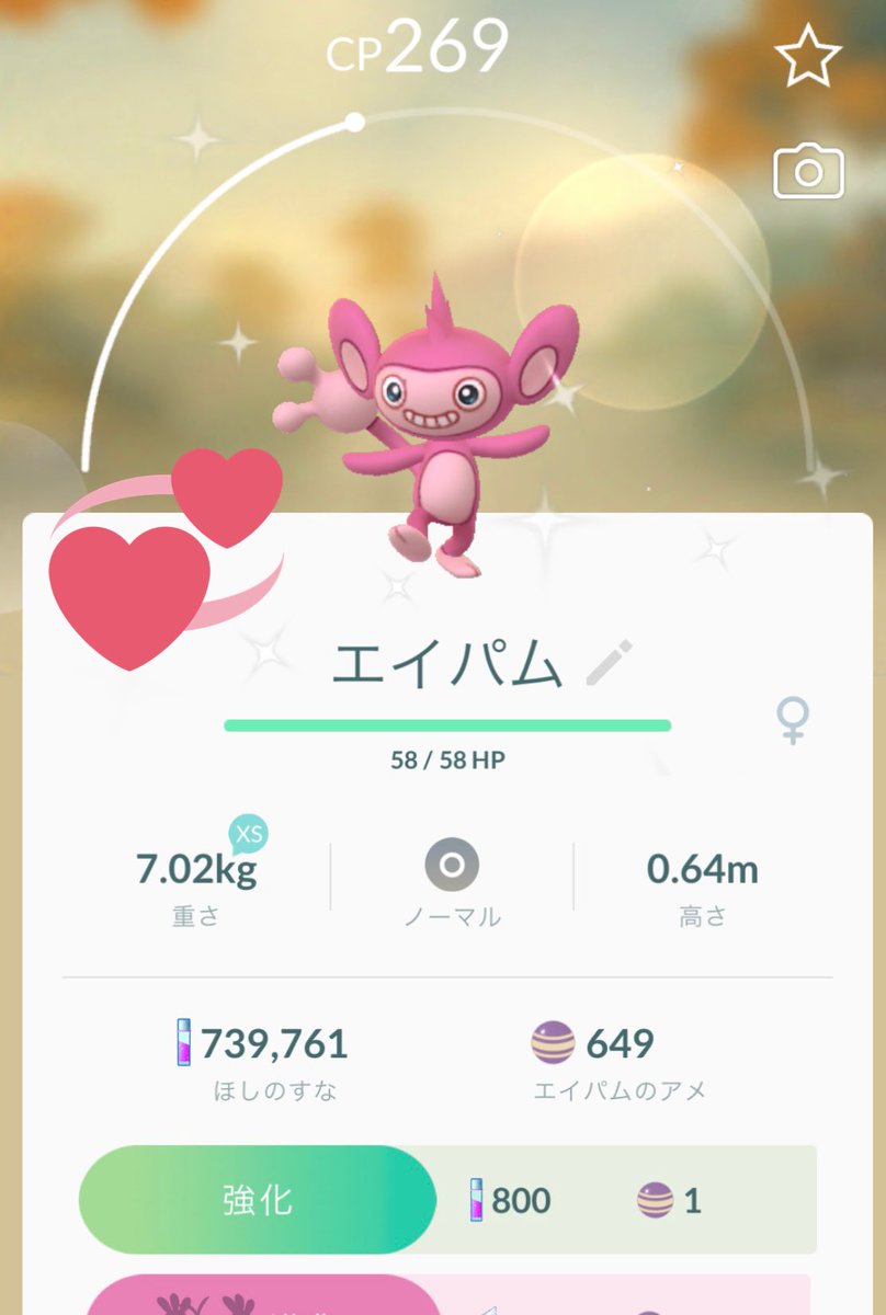 オートキャッチ オートキャッチ
