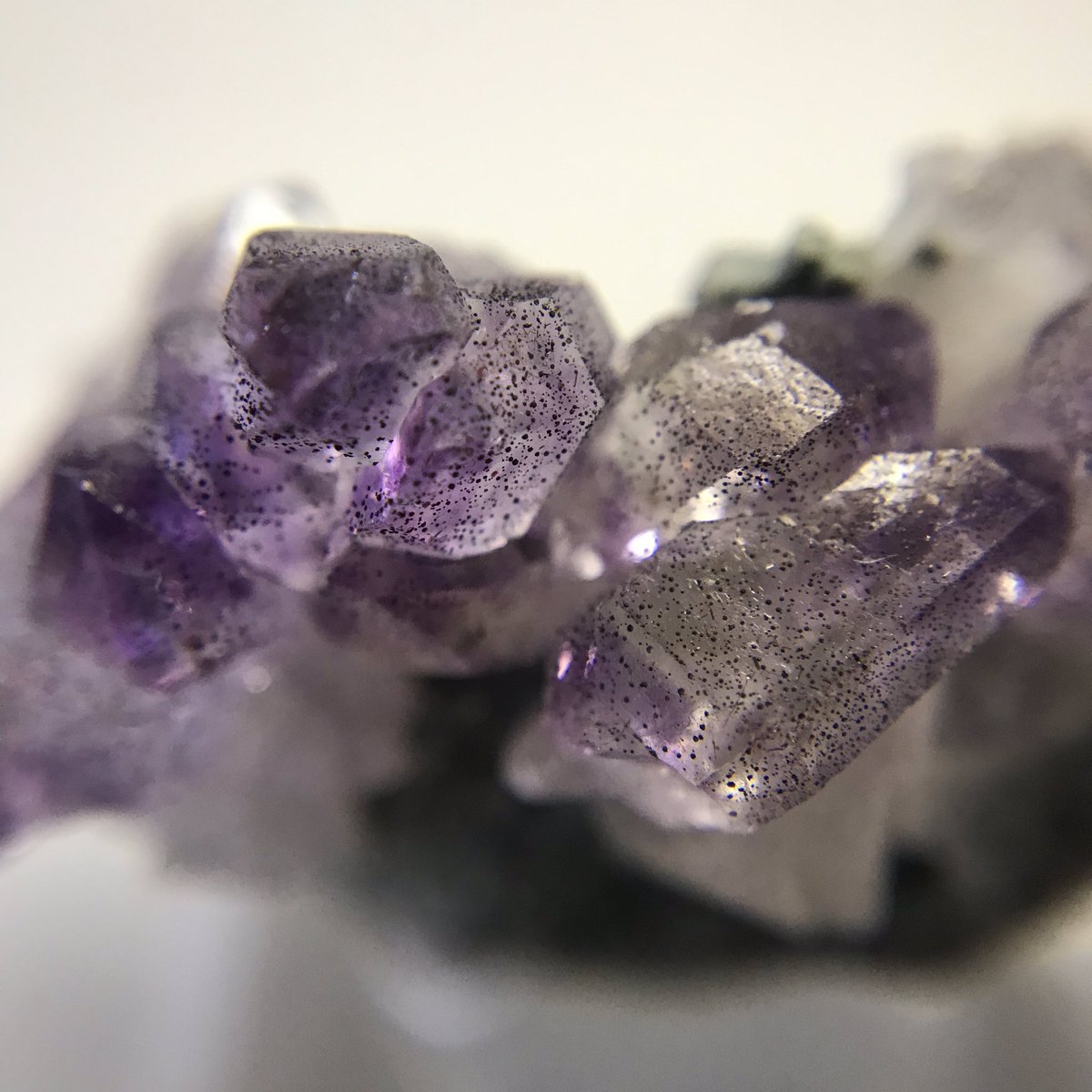 ミネラルロマンス購入品
ブランドバーグ 産アメジスト
結晶の斑点模様がお気に入りポイント☺️
結晶サイズのあるブランドバーグ を探してるんだけども、これはこれで良き✨