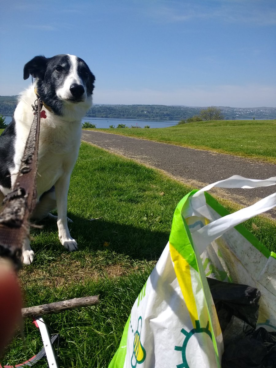 shorethingG82's tweet photo. Mad dogs and litter-pickers 😂 https://t.co/TEaHKIVCOo