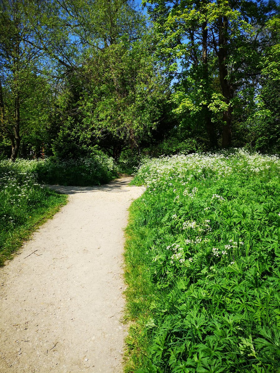 AmyChater's tweet photo. What a gorgeous day to enjoy a walk around beautiful Wantage for #MentalHealthAwarenessWeek #CMwalk @coffin_mew https://t.co/MM8SNPtA5w