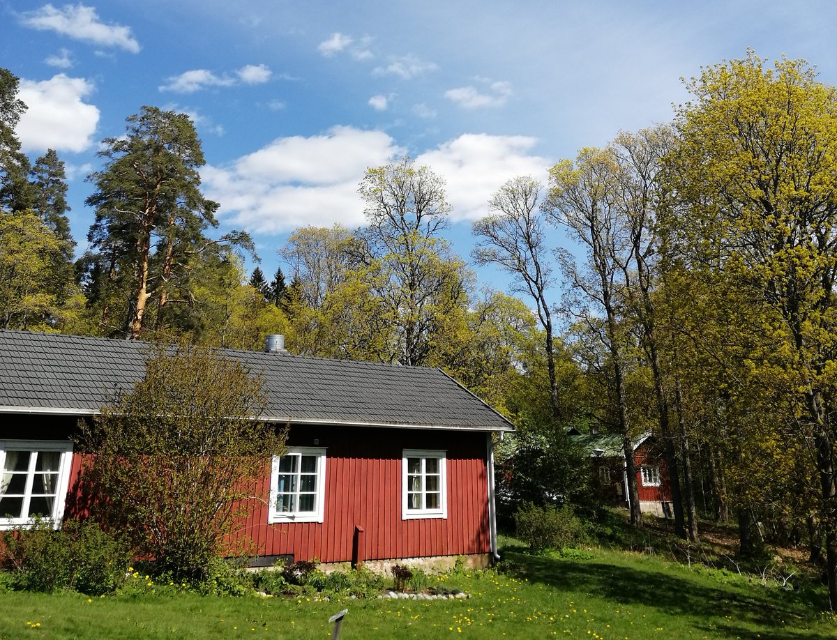 HannaSalmijarvi's tweet photo. Upea kevätsää suosi kehittämispäiväämme!
Aurinkoinen tunnelma ja iloiset ihmiset. Hieno päivä! #espoohetki https://t.co/6POv2TE4h3