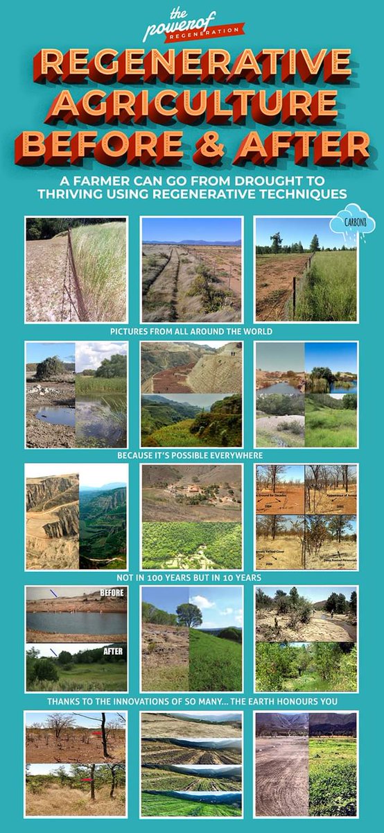 ACTED Resilience in East Africa (@manganoacted) on Twitter photo 