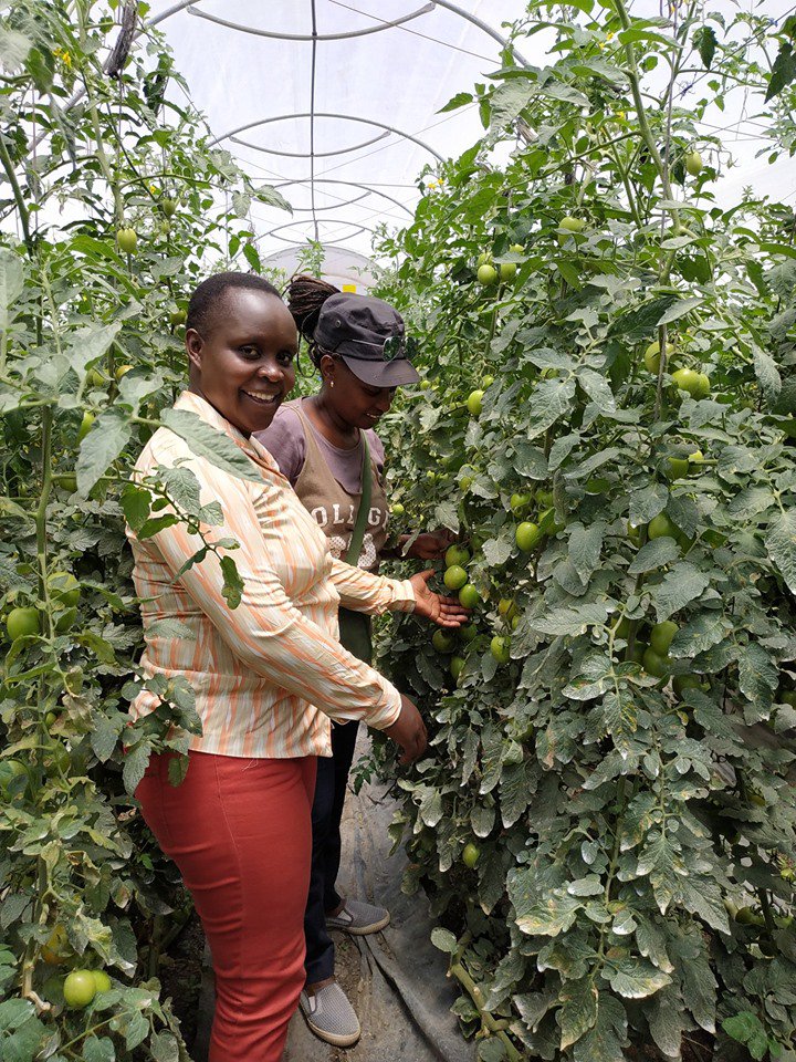 Tandaza Trust staff team on a recent field trip to Kajiado County, Kenya.