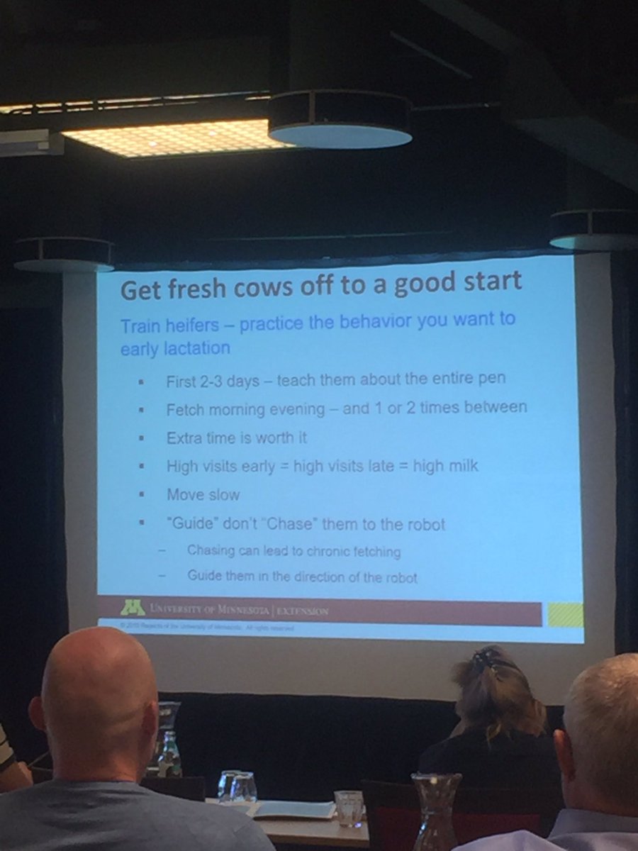Richard1980ARN's tweet photo. Great guidance for fresh cows in robotic milking systems @Zinpro @ARN_Home https://t.co/qY1RuZrHGQ
