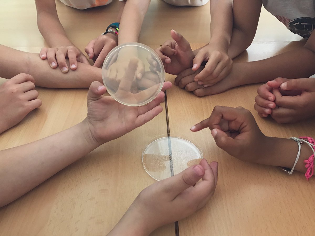 sbu_csic's tweet photo. Today at #escolasantiagorusiñol with #microbis! Will they find microbes around? @CSICCat @CSICdivulga @bcn_ajuntament #paeajuntamentdebarcelona https://t.co/cfWWdKqDdB