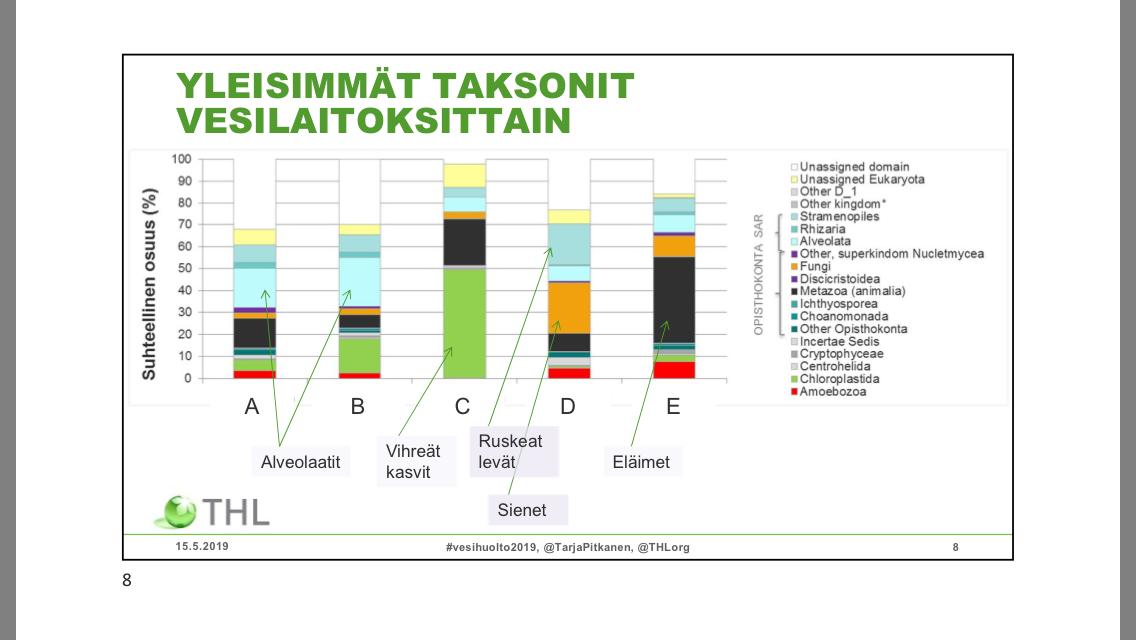 TarjaPitkanen's tweet photo. #vesihuolto2019 @Wilhelm -sali (juuri ennen kahvitaukoa) minulla on ilo esitellä TkT Jenni Inkisen sekvenssianalyysin tulokset: Eukariootit eli korkeammat eliöt #talousvesi -verkostoissa Suomessa #DWDSOME @suomenvesi @THLorg @UniEastFinland @SuomenAkatemia https://t.co/6HlpsLxknI