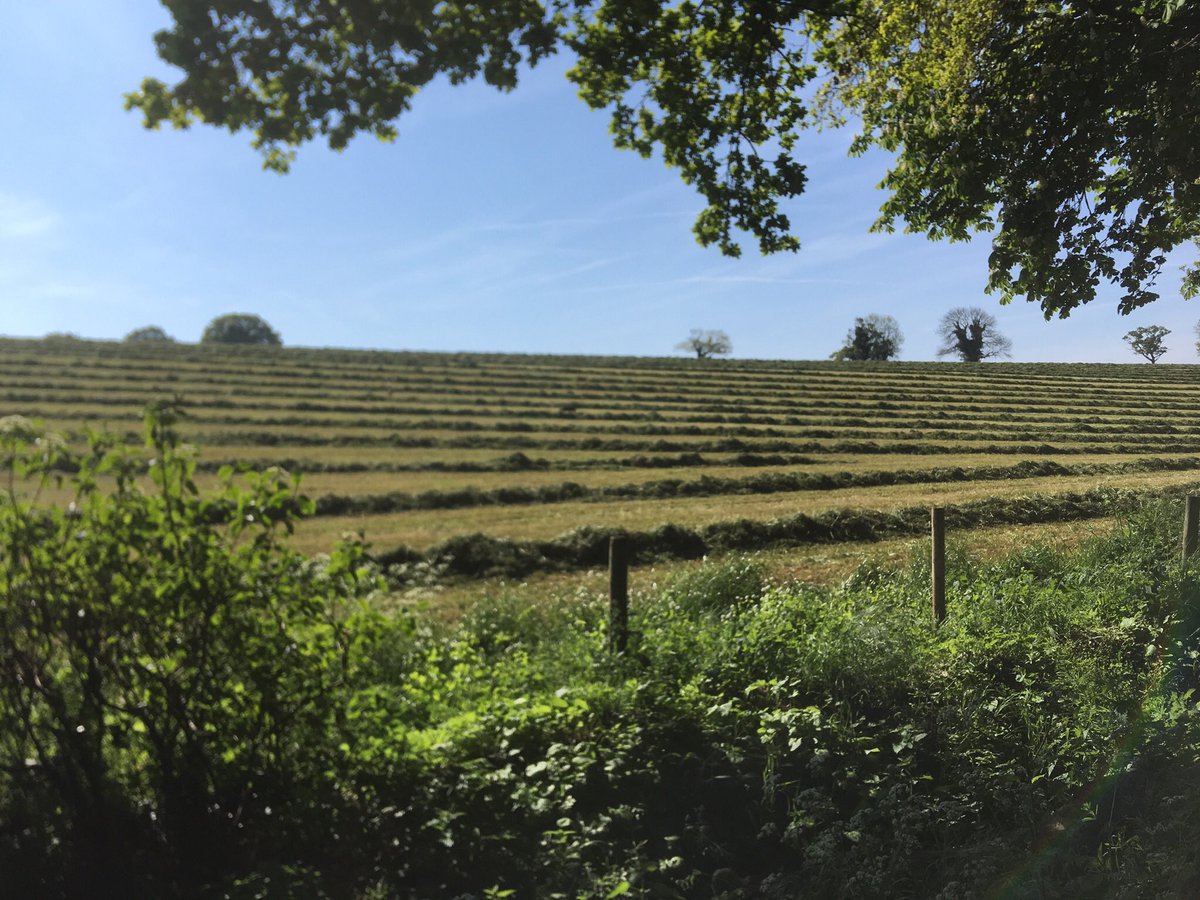 #silaginground2 #lovethe farmers and their tractors #sunnyday#Peakhousefarm