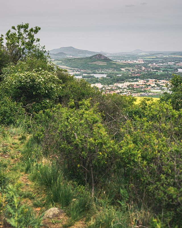 Dvorix's tweet photo. První návštěva na vrchu Ovčín (431m n. m.), výstup zlo, výhled tohle, turistů pomálu oproti Košťálovu.⠀
.⠀
.⠀
.⠀
.⠀
#sonyimages #sonya7ii #featureshotz #igerscz #bohemianuplands #stredohori #sonygangcz #ovcin #lovosice #litomerice #radobyl #sedlo #tamron2875 #czechlandscape https://t.co/PrtDOAEcSi