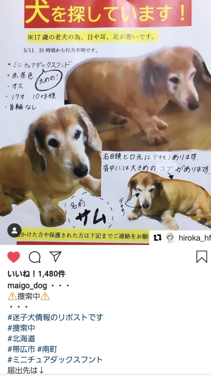 ともひろろ Tmhr21 Twitter